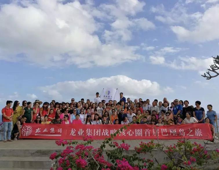 龙业集团