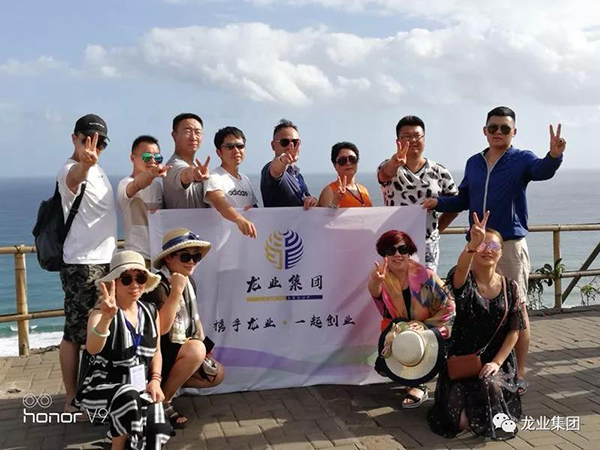 龙业集团