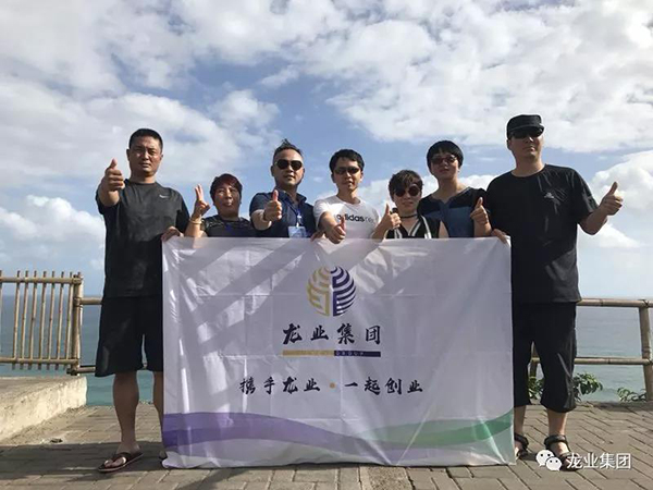 云南龙业集团
